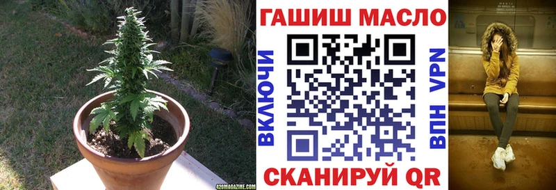 купить   Орлов  ТГК гашишное масло 
