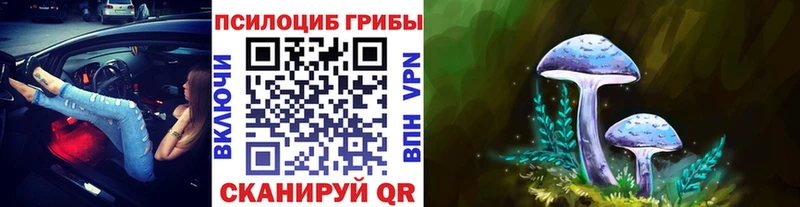 Галлюциногенные грибы прущие грибы  OMG как зайти  Орлов 